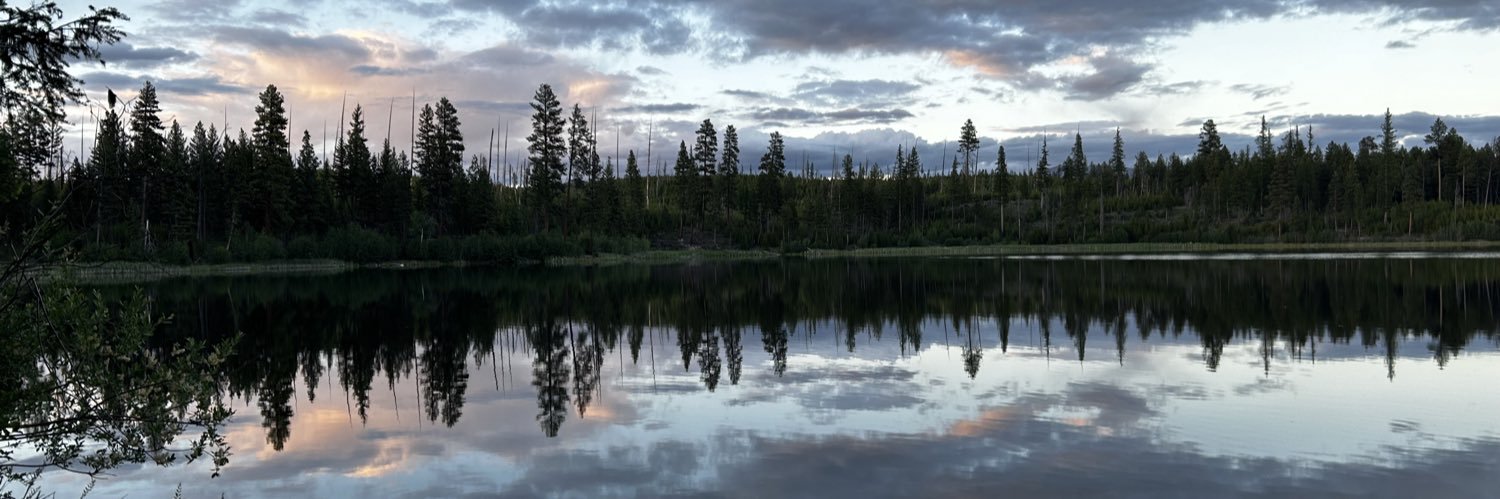 Carol Lawrence 🦋💕🏔 banner