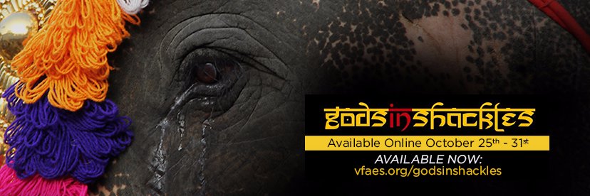 GodsInShackles's profile banner image