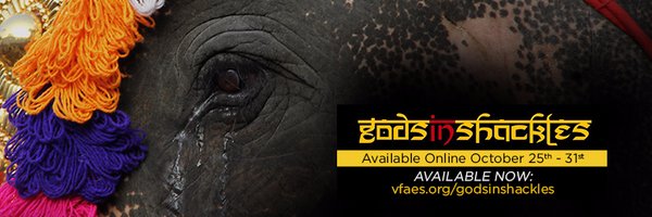 GodsInShackles Profile Banner