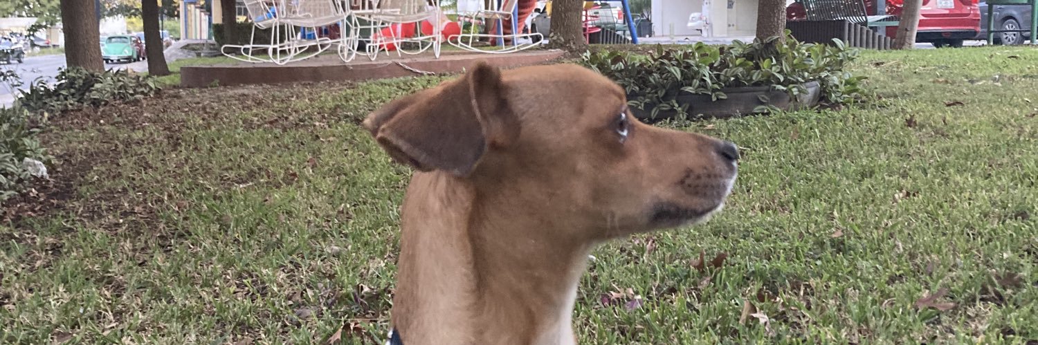 bobegzz's profile banner image