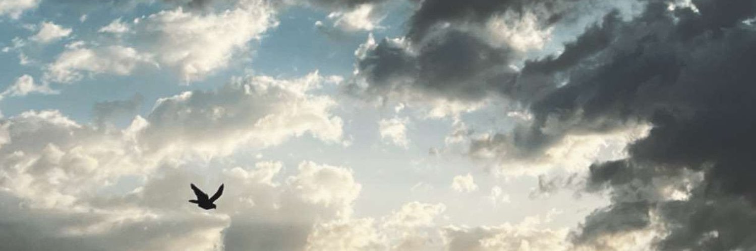 _1ll94's profile banner image