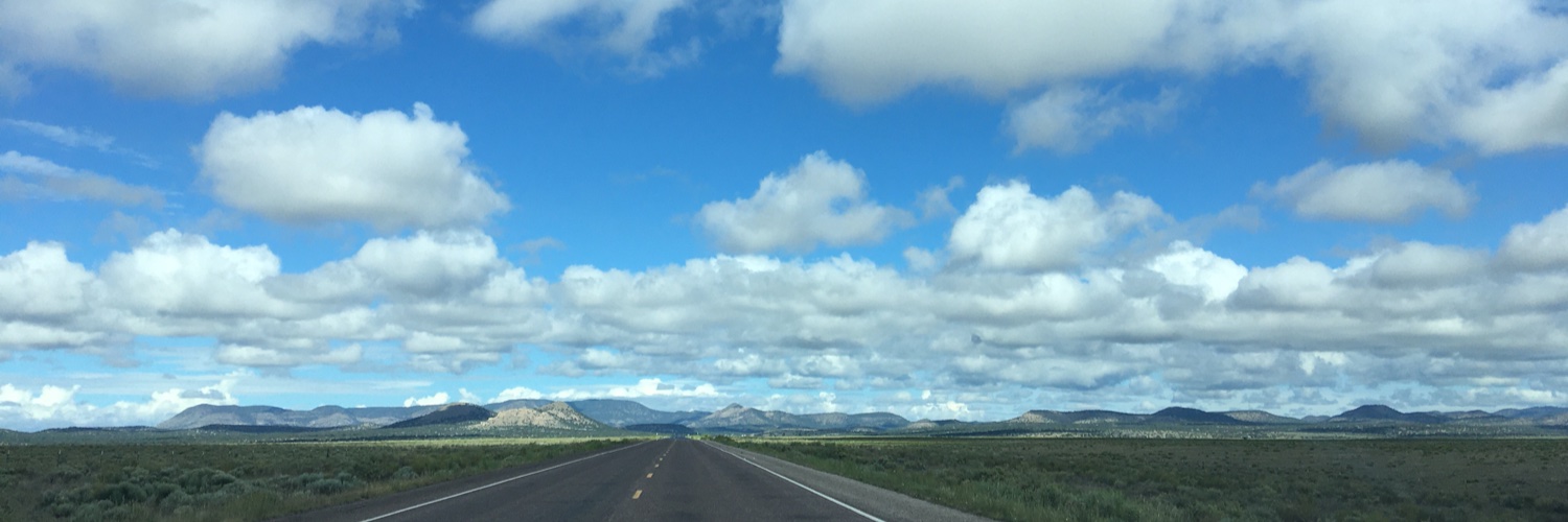 Nick Shindo Street banner