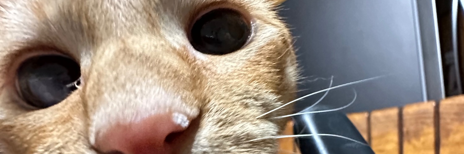 Deetoosweet_'s profile banner image
