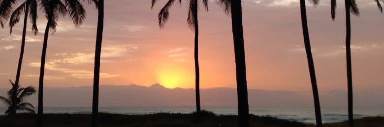 Superfluous Man banner