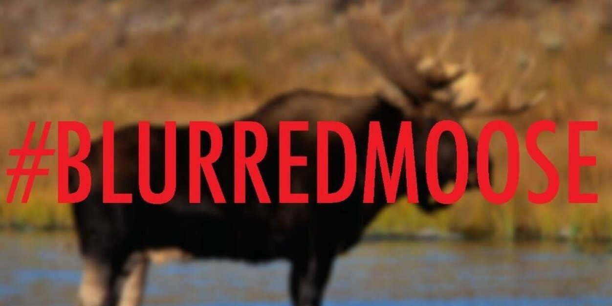TheMooseFacts's profile banner image