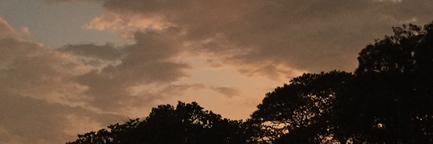 casugakeyshi's profile banner image