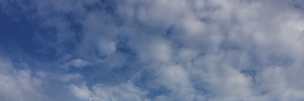 yururena's profile banner image