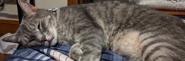 LolicOnion Profile Banner