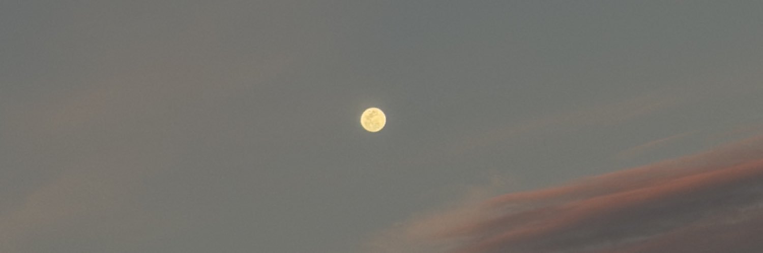 amork_'s profile banner image