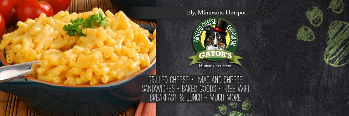 CheesyGator's profile banner image