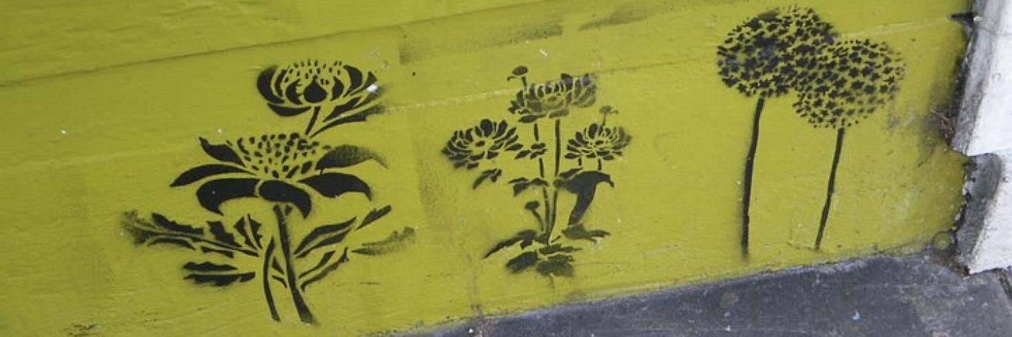 Adrienne Schmoeker banner