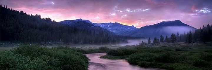 cher_mitchell's profile banner image