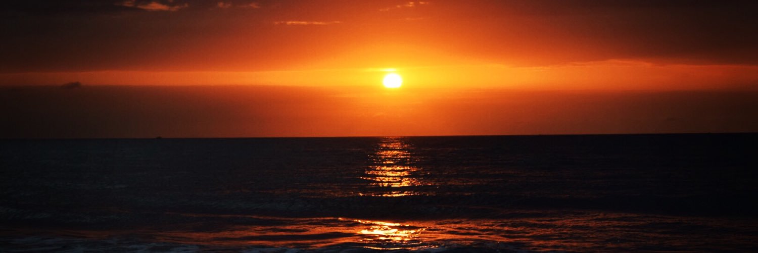 🟣Donna Melanson banner