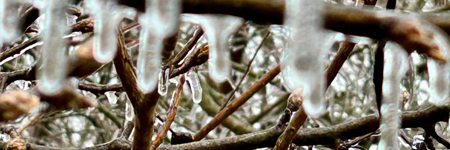 chellbelle1985's profile banner image