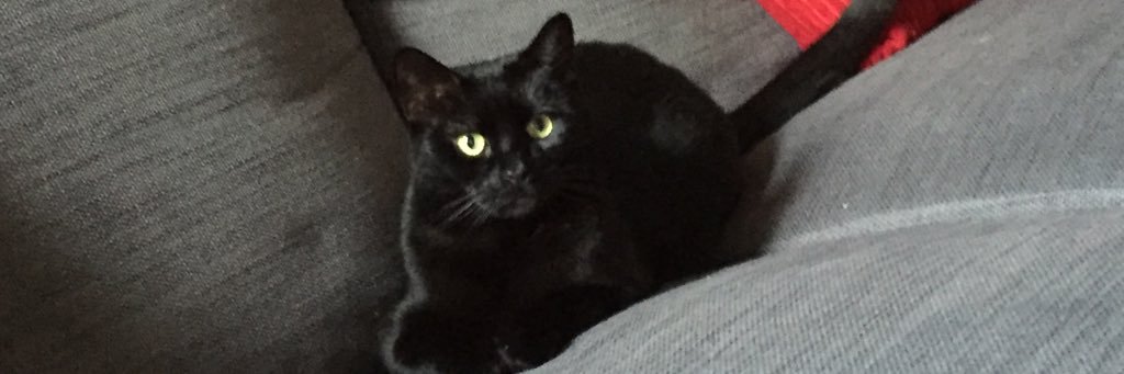 keeley5's profile banner image