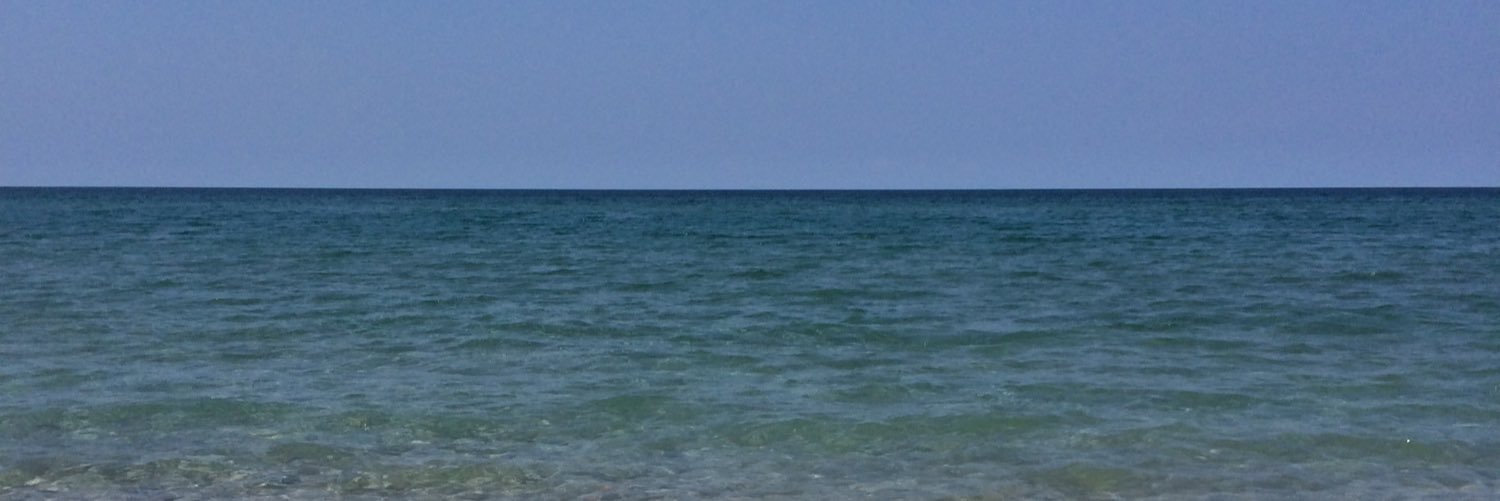 _RachelGreene_'s profile banner image