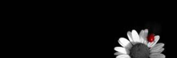 Alexia_Barrett's profile banner image