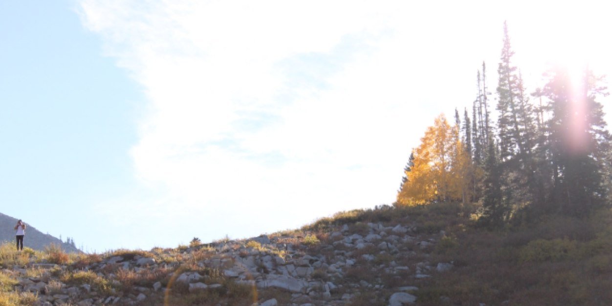 YoungLinden's profile banner image