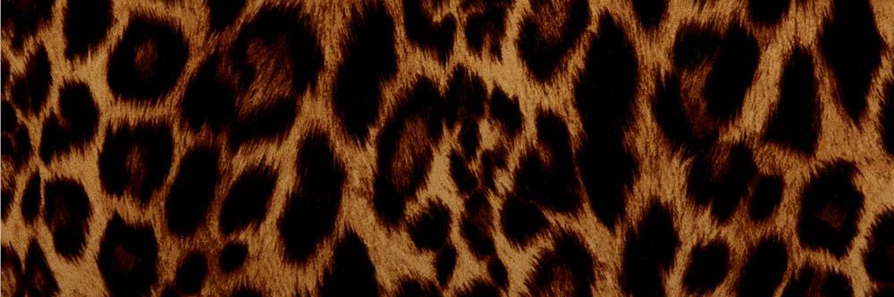_____lyh's profile banner image