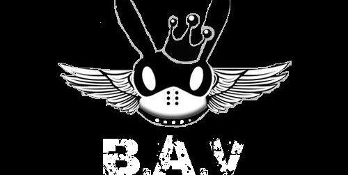 B.A.V banner