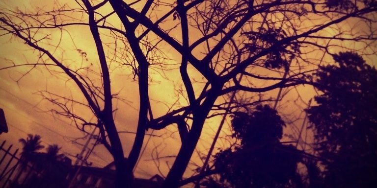 cherrrickk's profile banner image