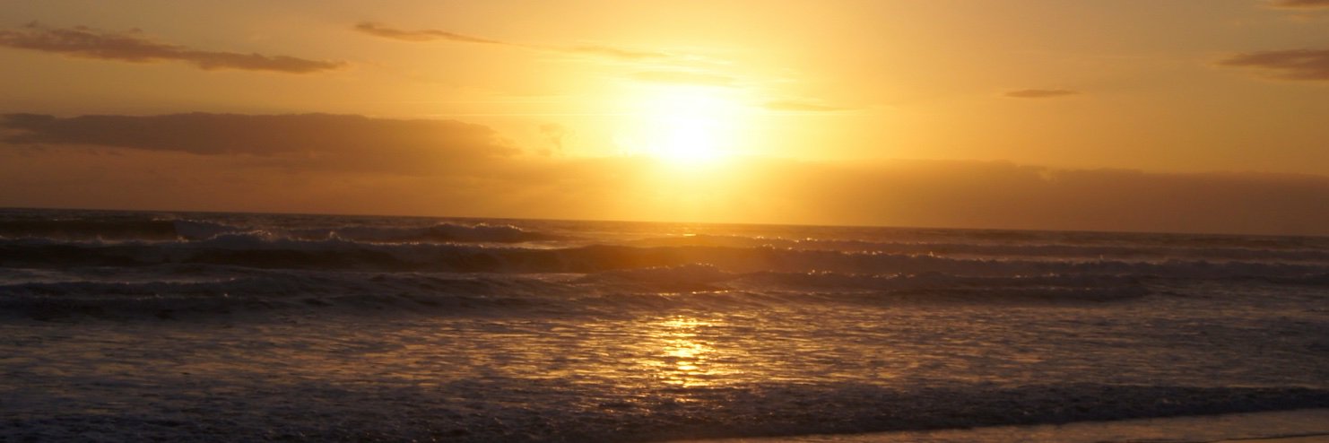 soltalent's profile banner image