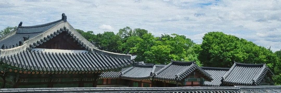 seseshxx's profile banner image