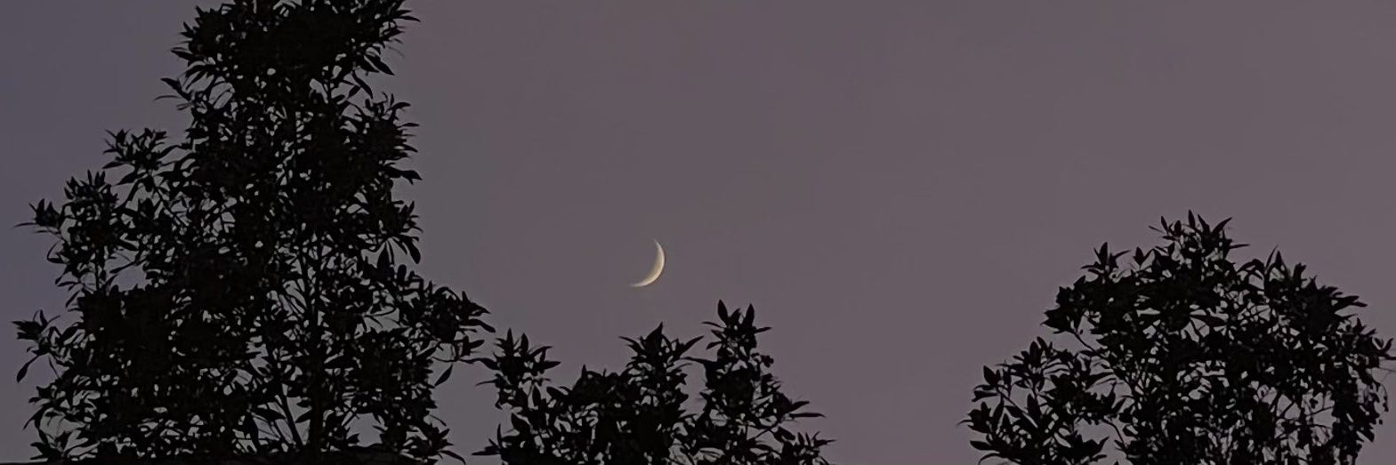TeffaG_'s profile banner image