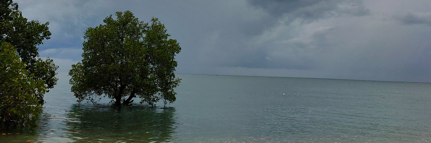 _anggoroo's profile banner image