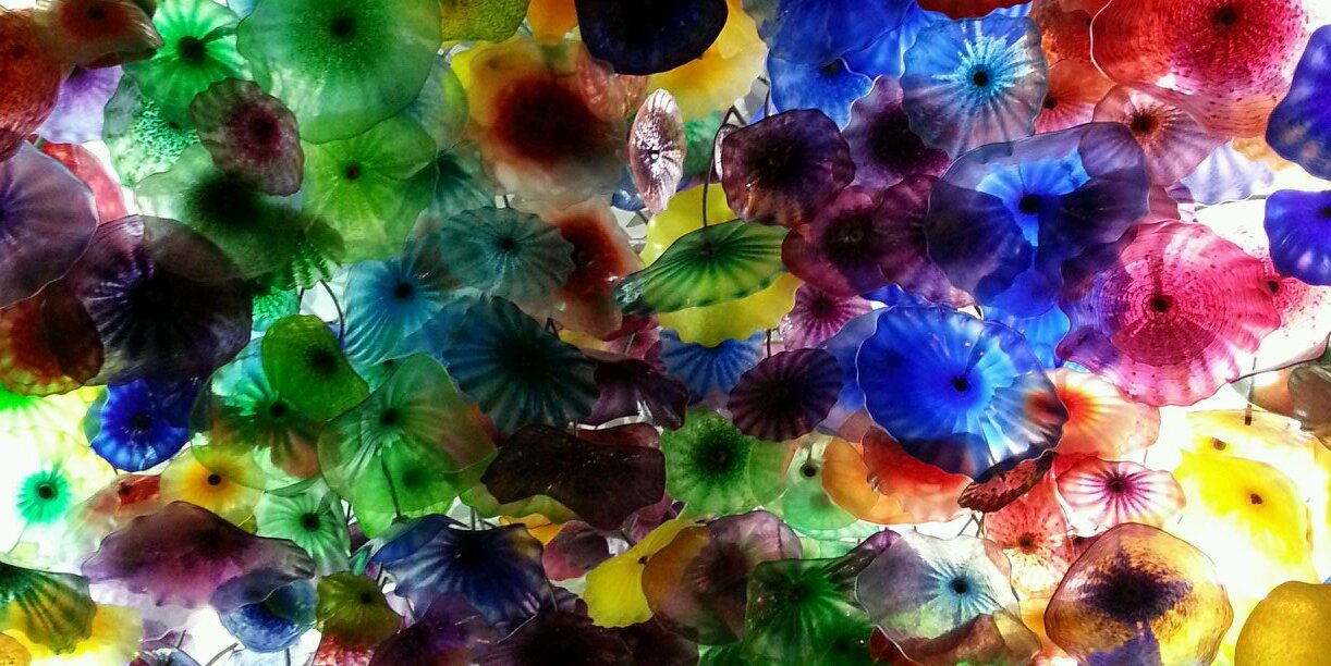 lisaroto's profile banner image