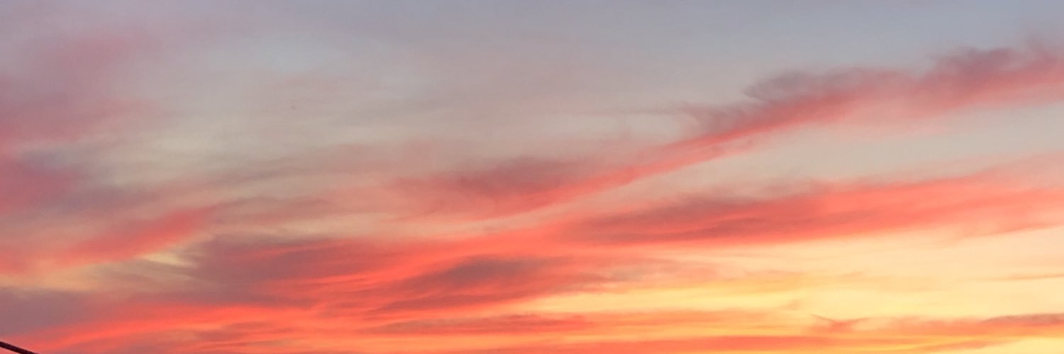 brunoinsf's profile banner image