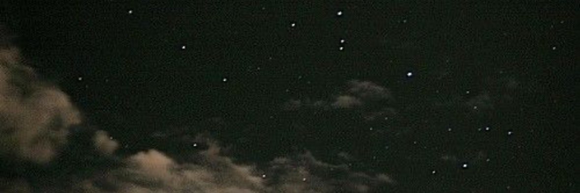 brooklyn banner