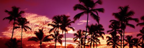 Gaabissz's profile banner image