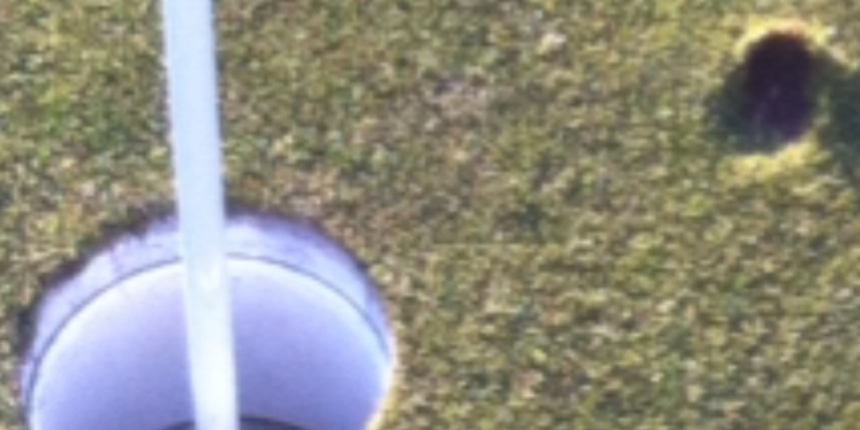 willdbk's profile banner image