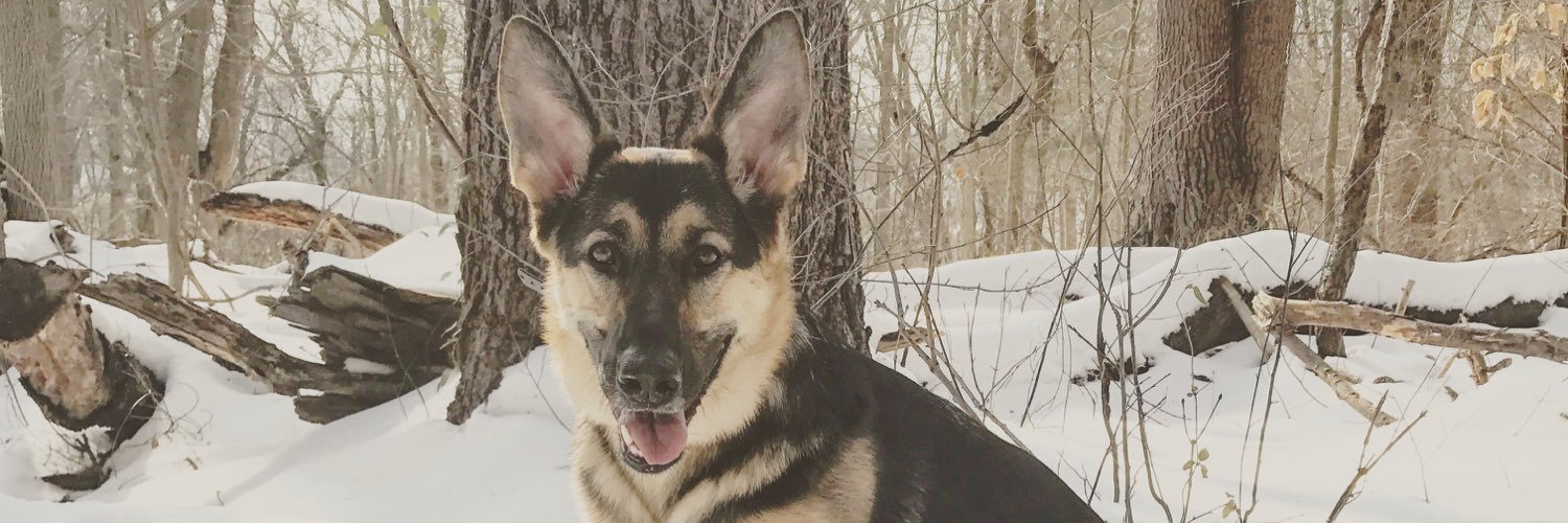 BrettAtko13's profile banner image