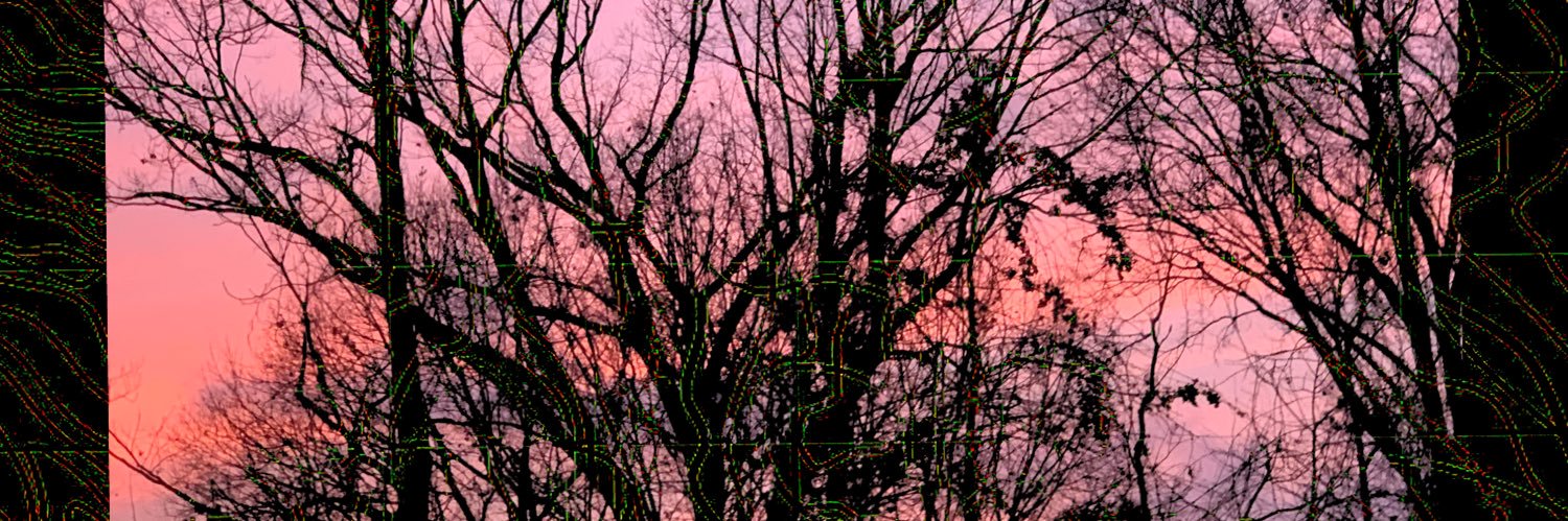 notreaves's profile banner image