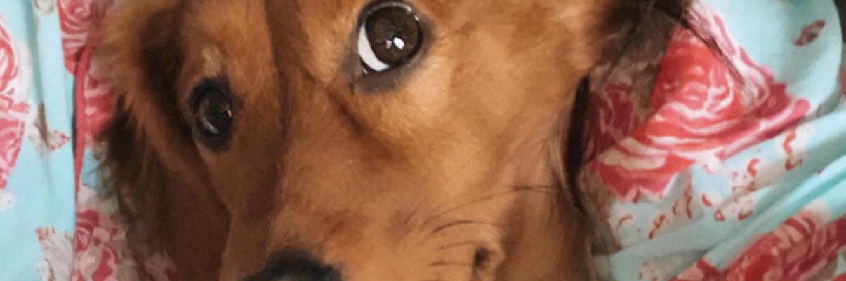 kimmarchris's profile banner image
