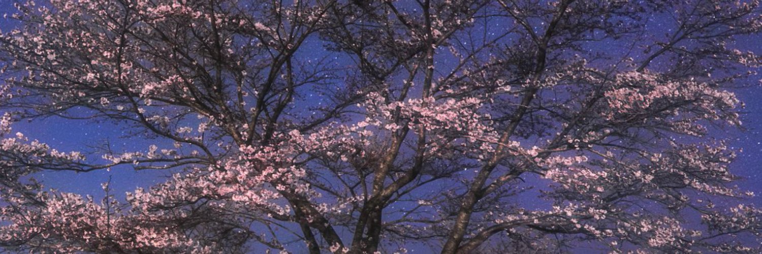 arus_me's profile banner image
