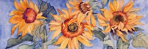 aianari's profile banner image