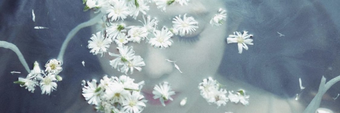 dpvdls's profile banner image
