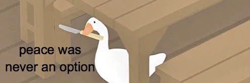 FriedBooks13's profile banner image