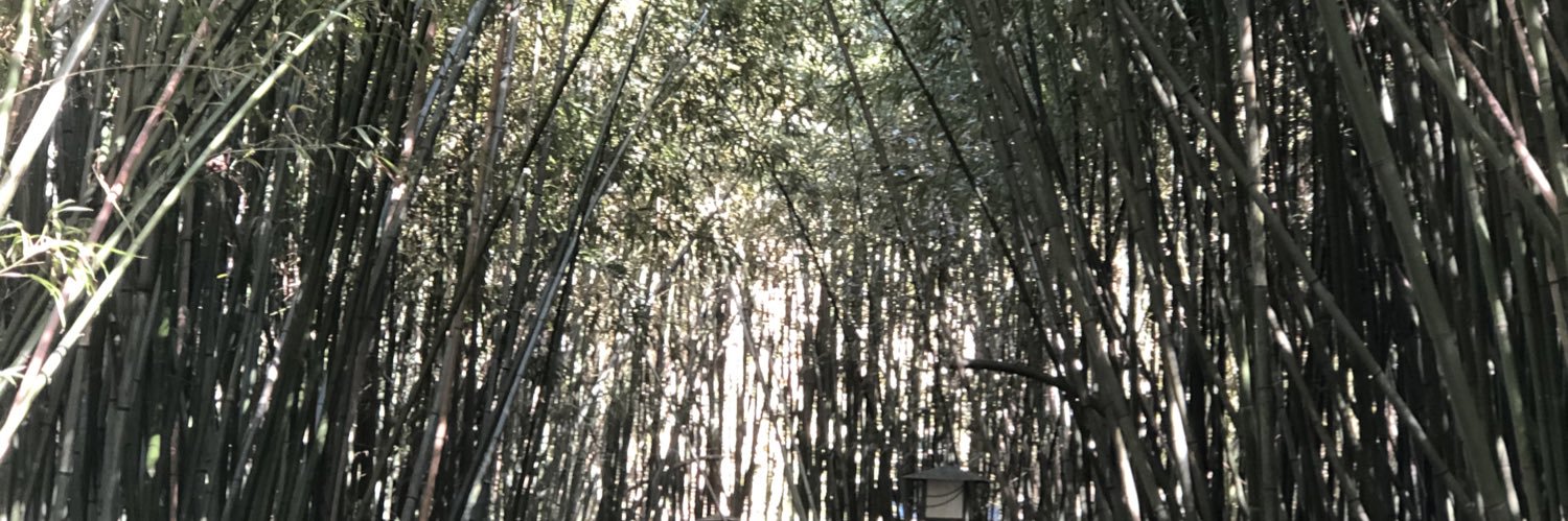FNONLY21's profile banner image