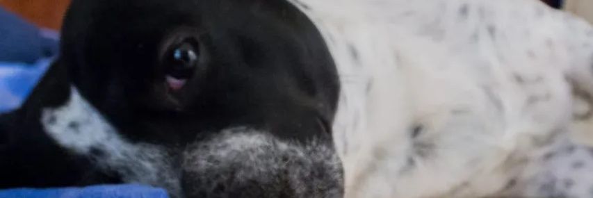 Doctorsito_'s profile banner image