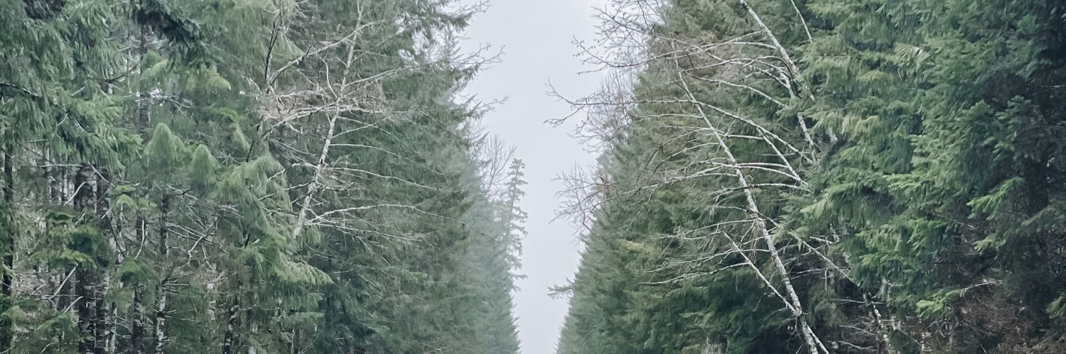 kyleembrown's profile banner image