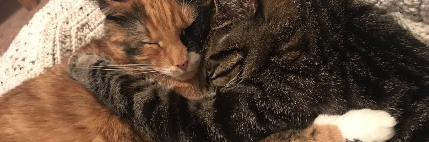hellokaity21's profile banner image