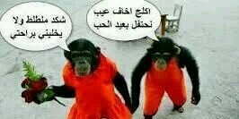 ali alubaidee banner