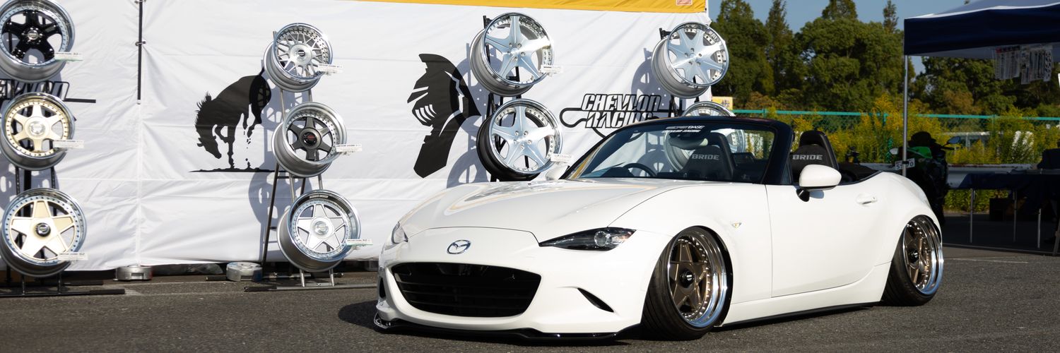 野生のトリケラトプス banner