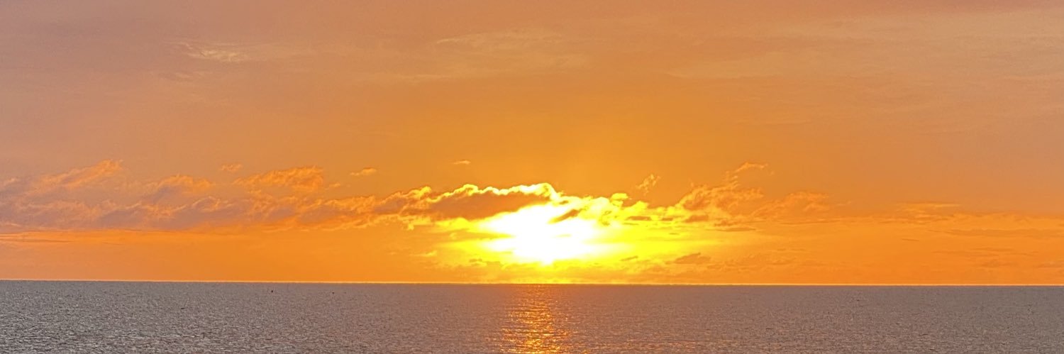 oslawso's profile banner image