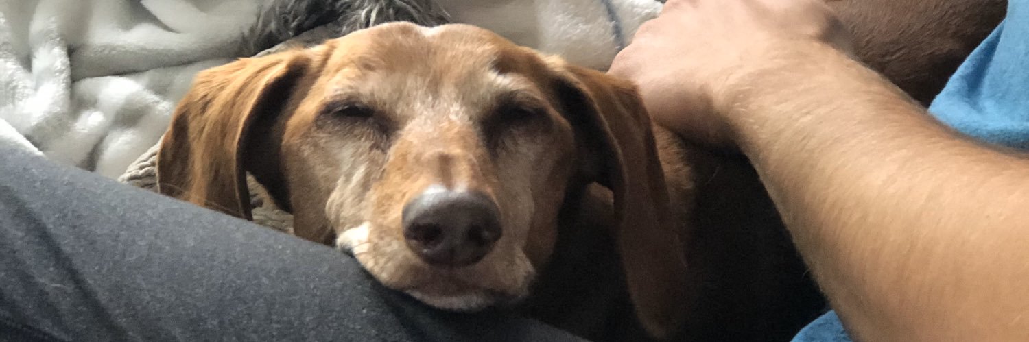 tweetsfrombrit's profile banner image