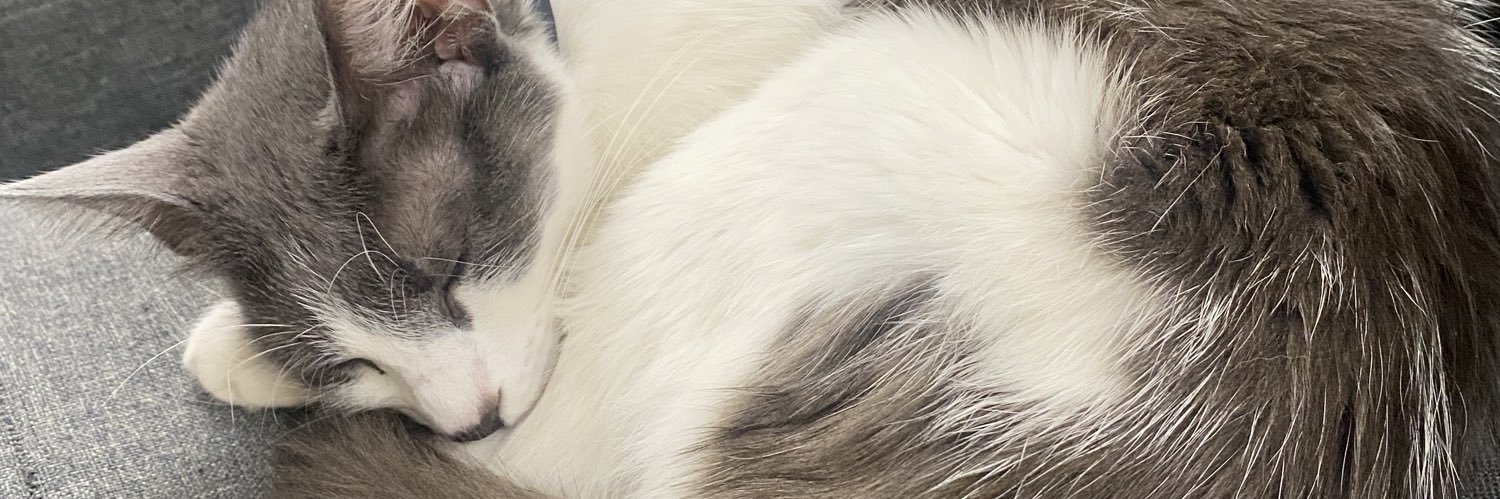 fatherxdrew's profile banner image